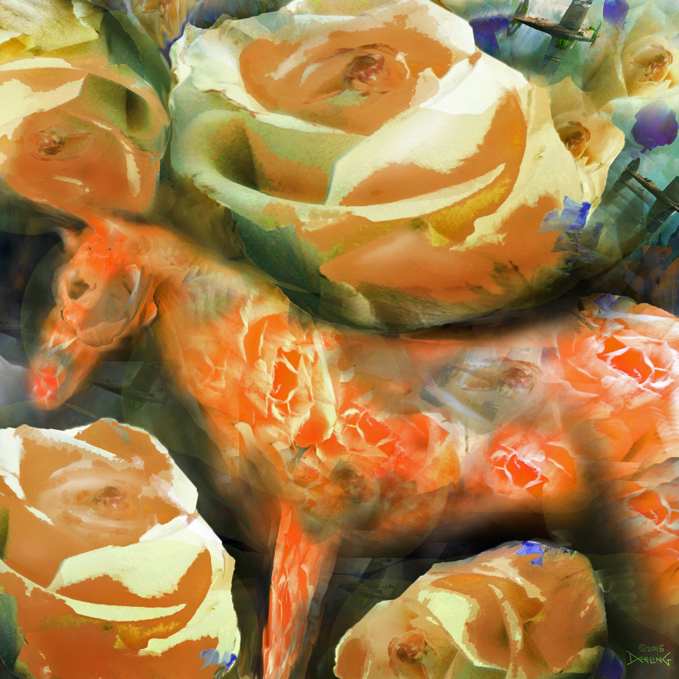 Tangerine Horse Blues with Sunset Roses 2016